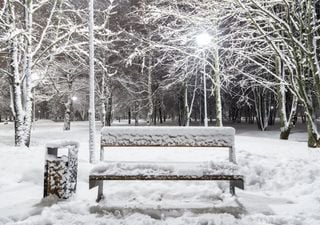 Winter 2025/26: Diese geheimen Wetterzeichen verraten mehr als jeder Bauernspruch – darauf achten Meteorologen wirklich