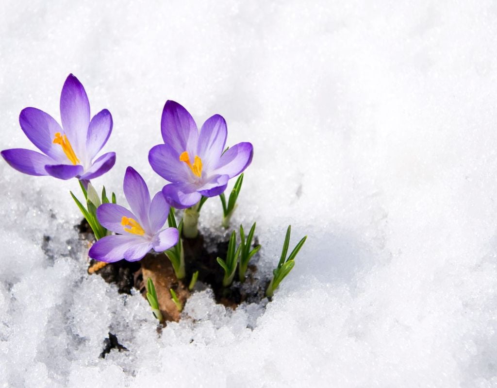 frühling, eiszeit, deutschland