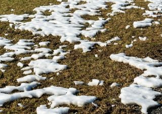 Ist der Winter jetzt vorbei? Ab Montag kommt es in Deutschland zu Sturm, Sturmflut, Regen und starkes Tauwetter!