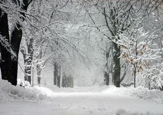 Kälte und Schnee in Deutschland zum Dezemberstart: Spannende Prognose!