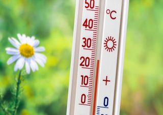 Januar-Winter fällt aus! Februar warm, im März erster Sommertag?