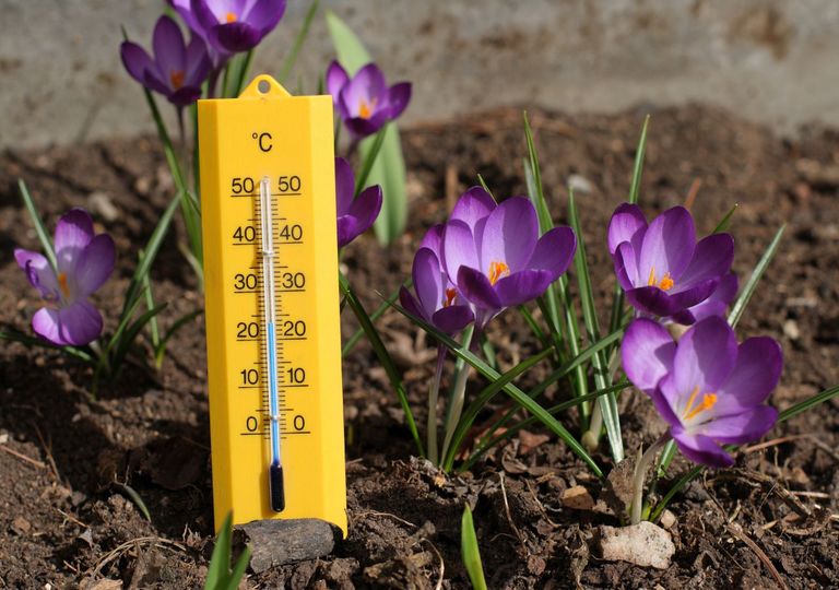 Der Winter ist gelaufen, der Frühling steht vor der Tür! Der Winter ist gelaufen, der Frühling steht vor der Tür!