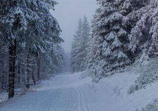 Erster Wintereinbruch in Deutschland oder neuer Wärmeberg im November?