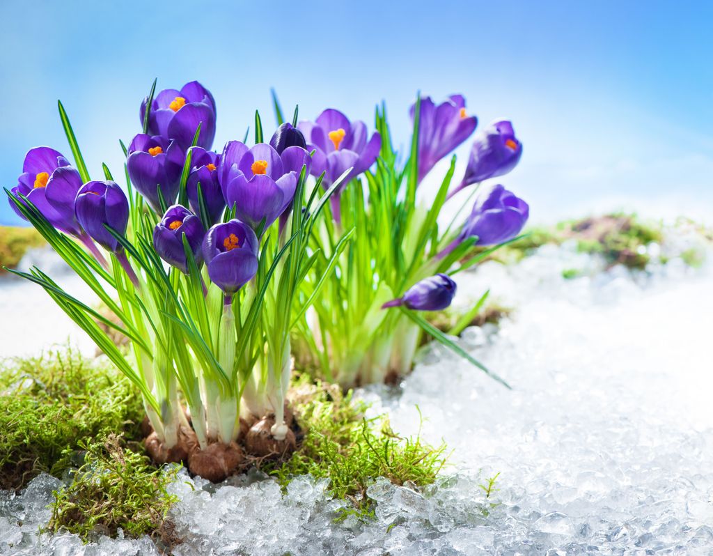 Wintereinbruch Im März Was Kommt Nach Dem Mega Frühlingswetter 