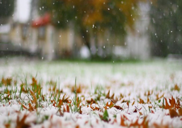 Erster Schnee Erster Schnee
