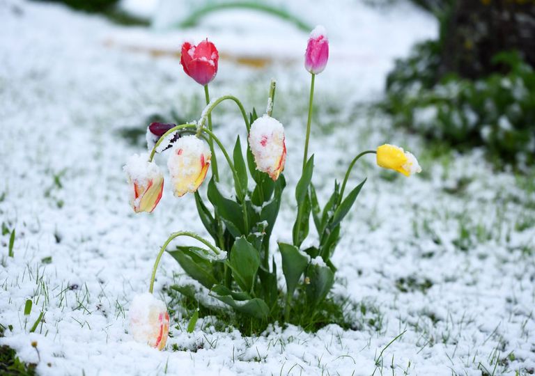 Winter im Mai Winter im Mai
