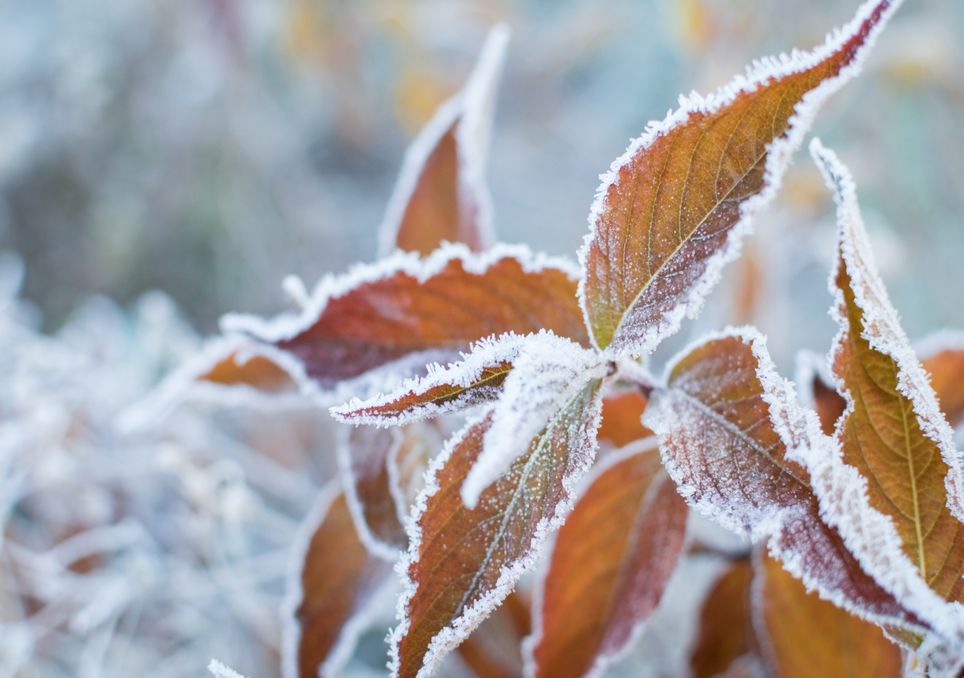 Wintereinbruch Zum Monatswechsel