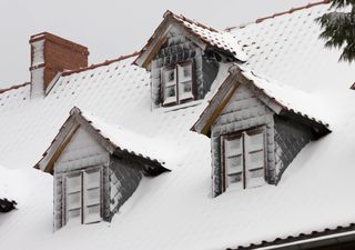 Winterhoffnung in der zweiten Februarhälfte?