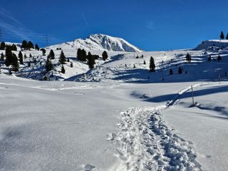 Wintermärchen in den Alpen und trübes 