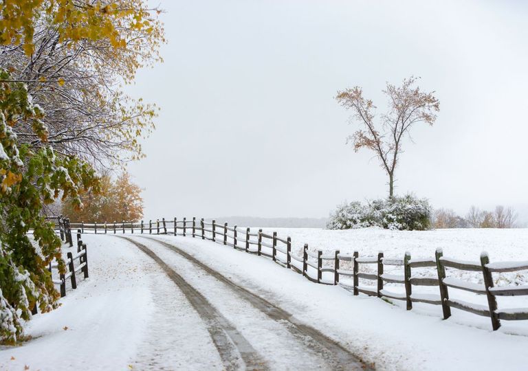 Wintervorhersage: Wird der Winter doch schneereich und kalt? Wintervorhersage: Wird der Winter doch schneereich und kalt?