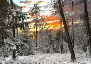 Winterwetter zum 3. Advent: Kommt der Schnee? Spannende Prognosen für Frost, Glätte und erste Schneeflocken im Anmarsch