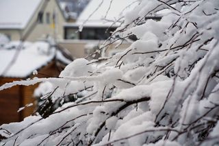 Wird der Februar jetzt richtig eisig?