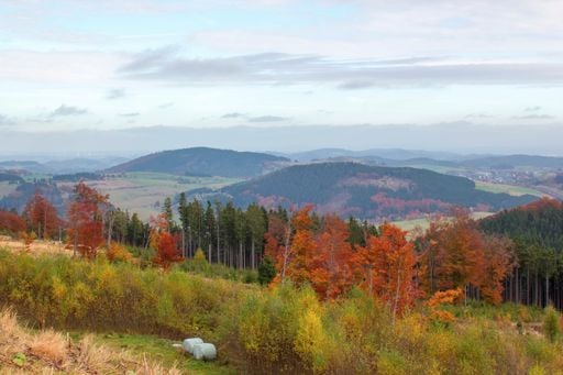Wo der Bach rauscht und der Fr&uuml;hling hell erbl&uuml;ht: Ein St&uuml;ck Worpswede im Sauerland