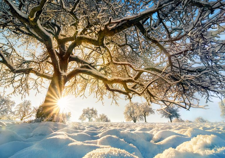 Winterwetter Winterwetter