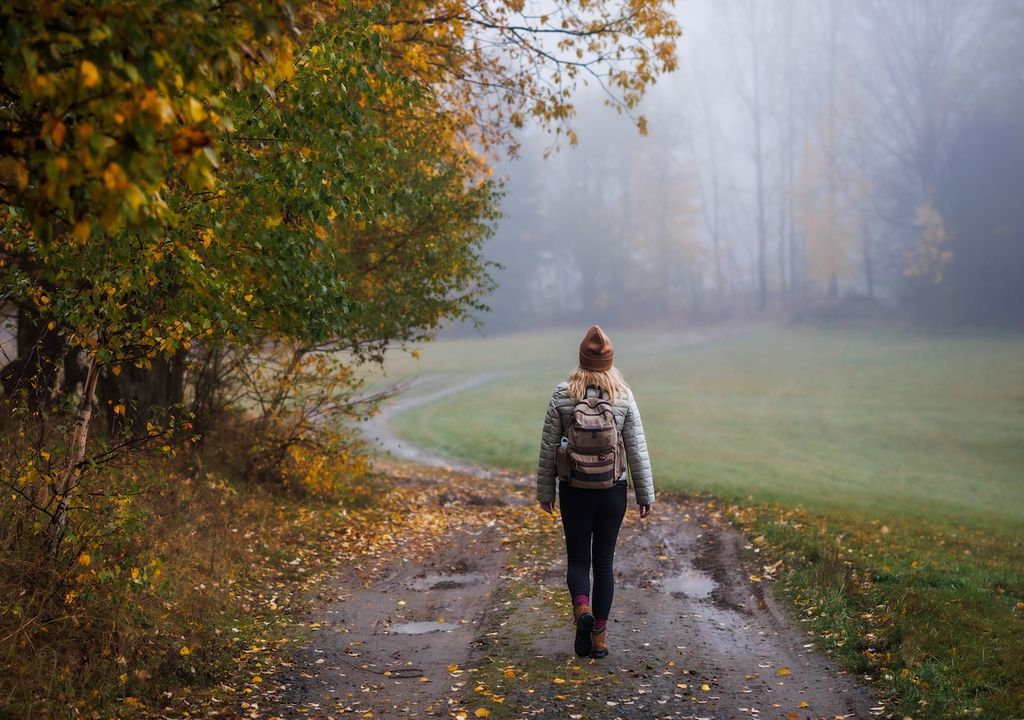 Herbst, Spaziergang, Nebel Romantik