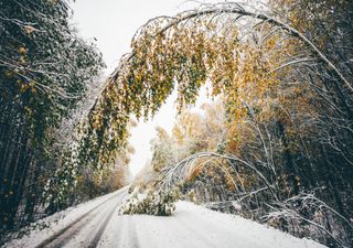Wochenwetter: Deutliche Abkühlung und Schnee möglich!