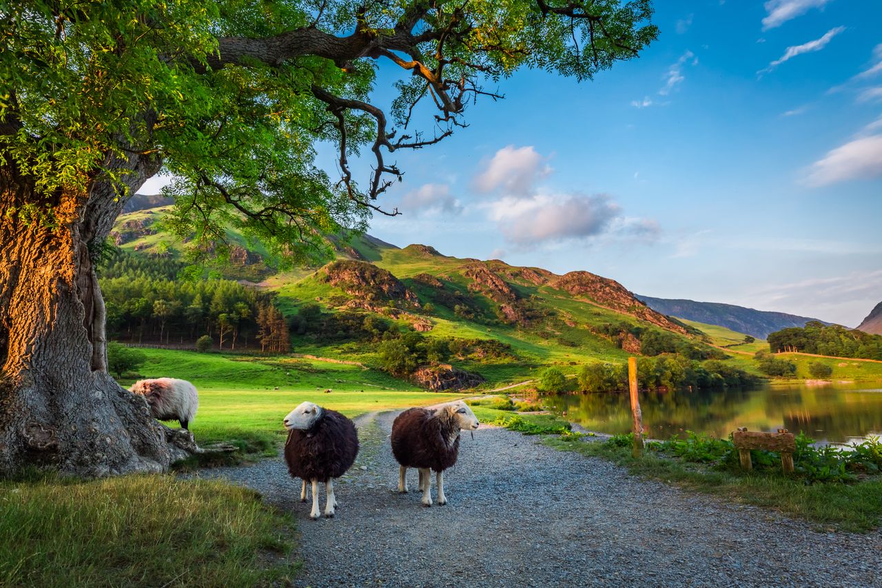 Berge, Wasser und Schafe: Der Lake District betörte viele Dichter. Foto: Adobe Stock