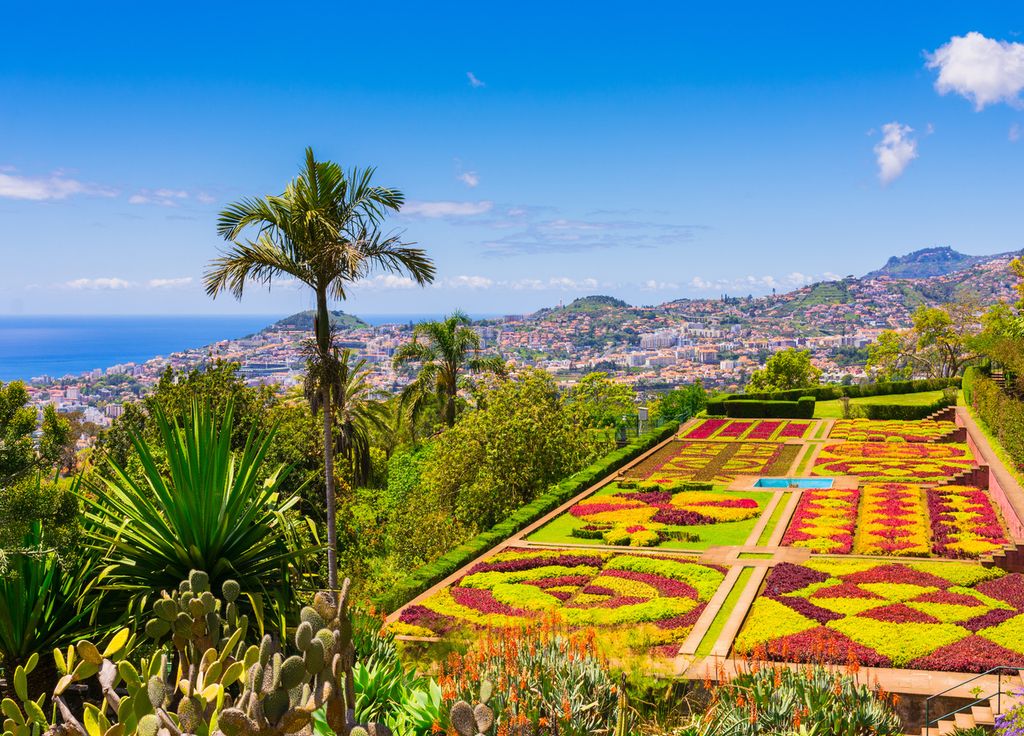 Le jardin botanique de Funchal, perché à 800 mètres d'altitude.