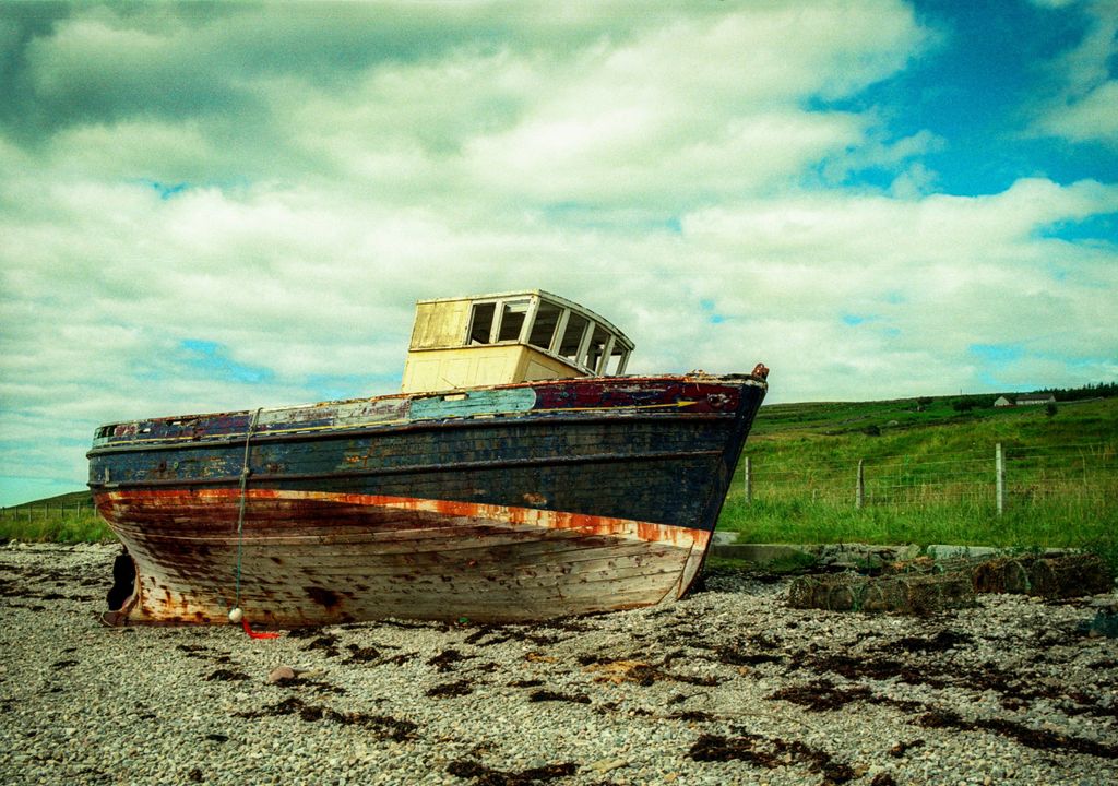 Worrying levels of fibreglass from boats found in oysters and mussels