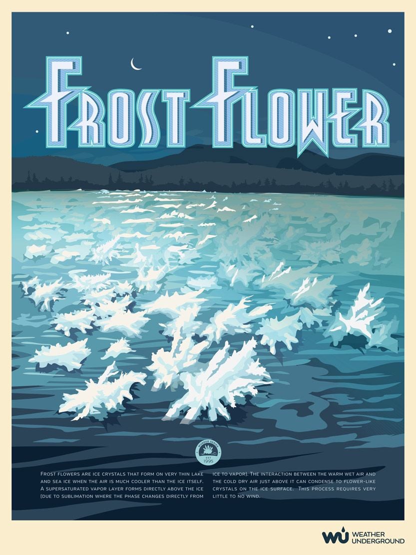Wunderposter: Flores De Escarcha