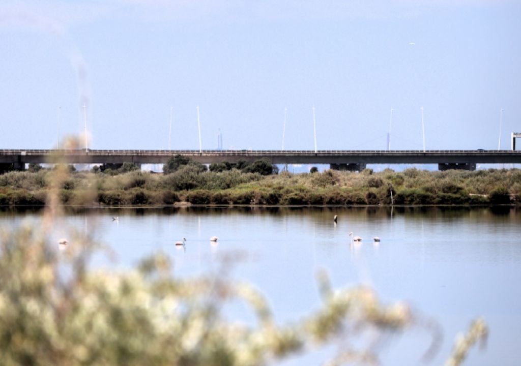 Estuário do Tejo Estuário do Tejo