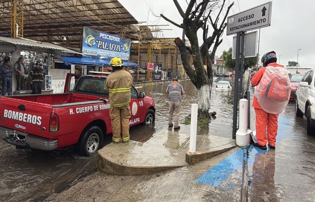 Uno de los problemas principales se asocian a la presencia de basura en las calles, además de no contar con mantenimiento adecuado en el sector de drenaje.
