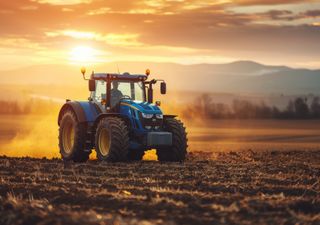 Extremsommer in Sachsen-Anhalt: Hitze, Trockenheit und die drängende Frage, ob der Herbst bald Einzug hält.