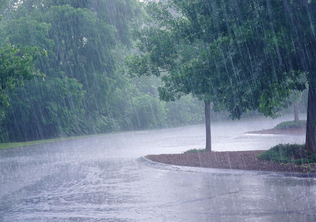 Los escenarios de diversas instituciones en México son muy variables sobre el comportamiento de la temporada de lluvias; algunas dan mucha lluvias, otros muy poca.