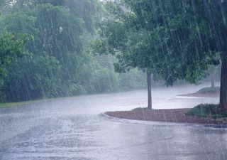 XXXVIII Foro de Perspectivas Climáticas en la República Mexicana por SMN: importantes escenarios de temporada de lluvias