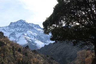 Y después de Flora... ¿seguirán las nevadas o volverá el sol?