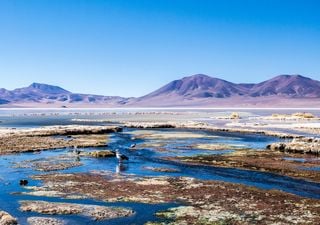 ¿Y el resto cuándo? Salar de Huasco ya es parque nacional