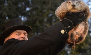 Y la marmota dijo que habrá seis semanas más de invierno
