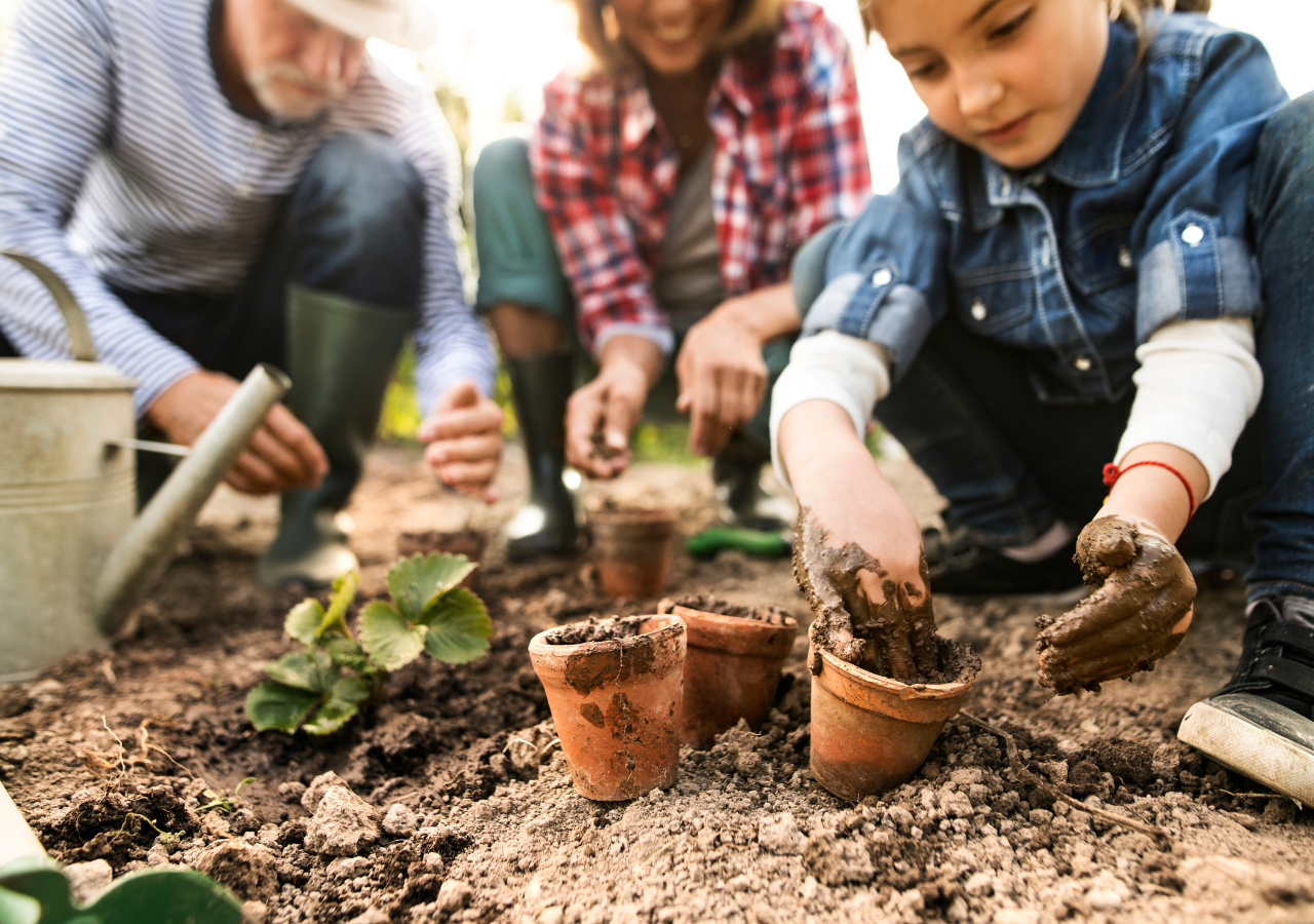 La composición orgánica de los abonos naturales beneficia tanto a las plantas como al ecosistema en general, promoviendo un equilibrio natural y una tierra fértil.