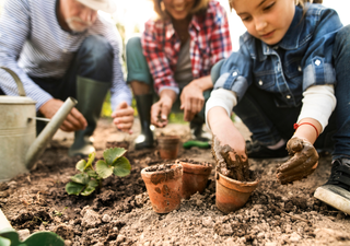 ¿Y si nos sumamos a la revolución verde? Descubre el poder de los abonos naturales