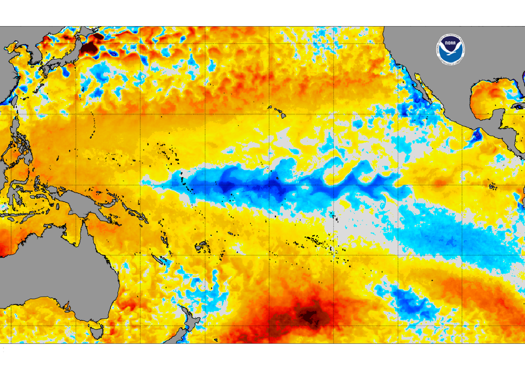 Anomalía de temperaturas de la superficie del Mar. NOAA