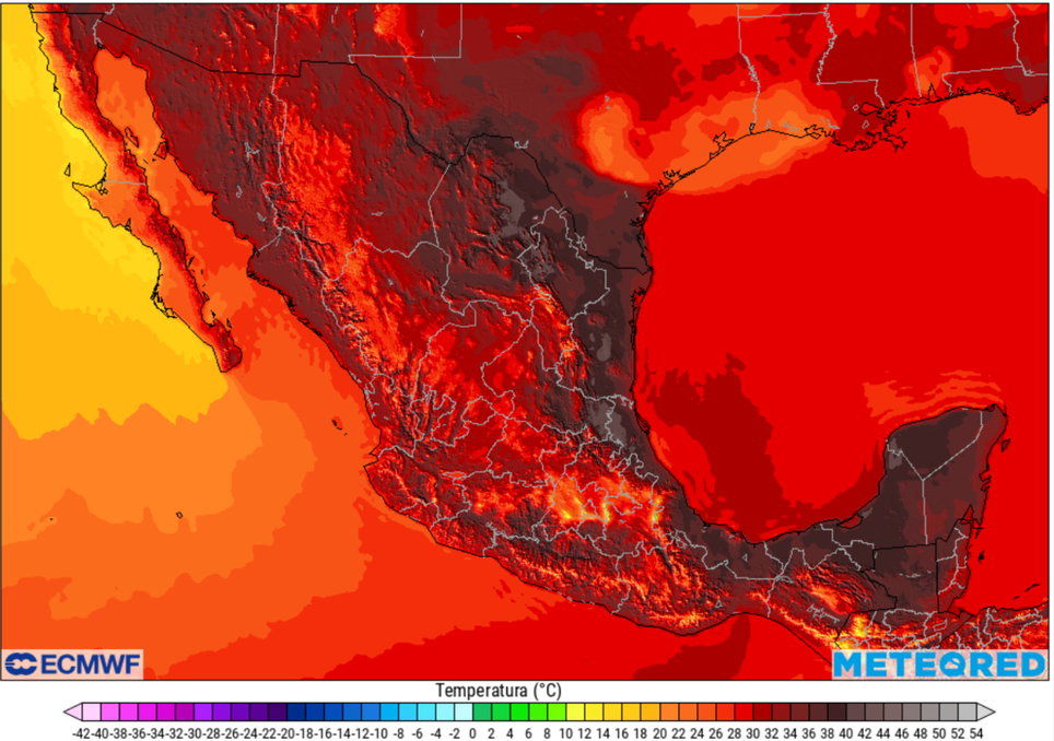 Ya hay fecha para el fin del calor: adiós a los 48 ºC desde el 5 de junio. Noticias en tiempo real