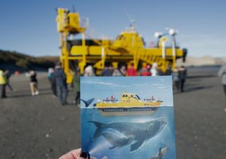 Este destino de Argentina hizo realidad el “Yellow Submarine” de The Beatles para avistajes únicos de ballenas