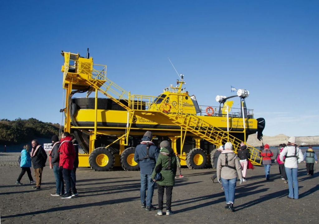 avistaje submarino de ballenas en Puerto Madryn Chubut Argentina