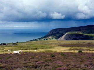 Yellow warnings of wind and rain in UK ahead of exceptional warm plume