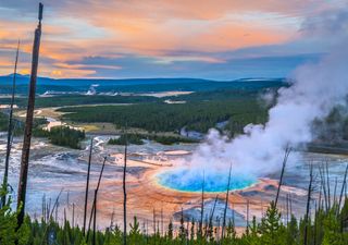 Yellowstone: casi 100 sismos en 24 horas