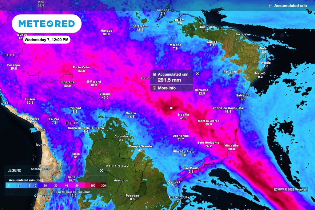 Chuva, acumulado, solo, planta