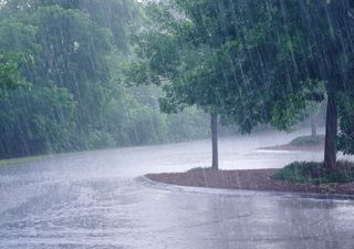 ZCAS no Nordeste: confira a previsão do tempo no fim de semana de Natal!