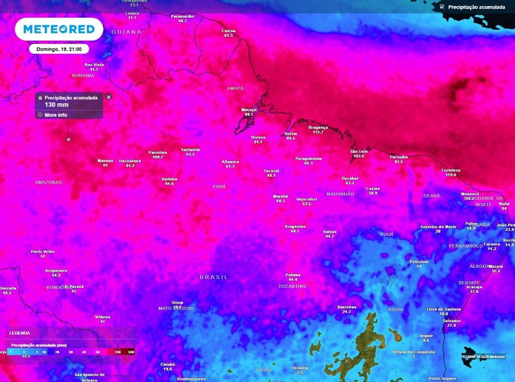 Previsão do acumulado de precipitação (em mm) entre hoje (14) e o domingo (19) à noite (21h), segundo o modelo europeu ECMWF.