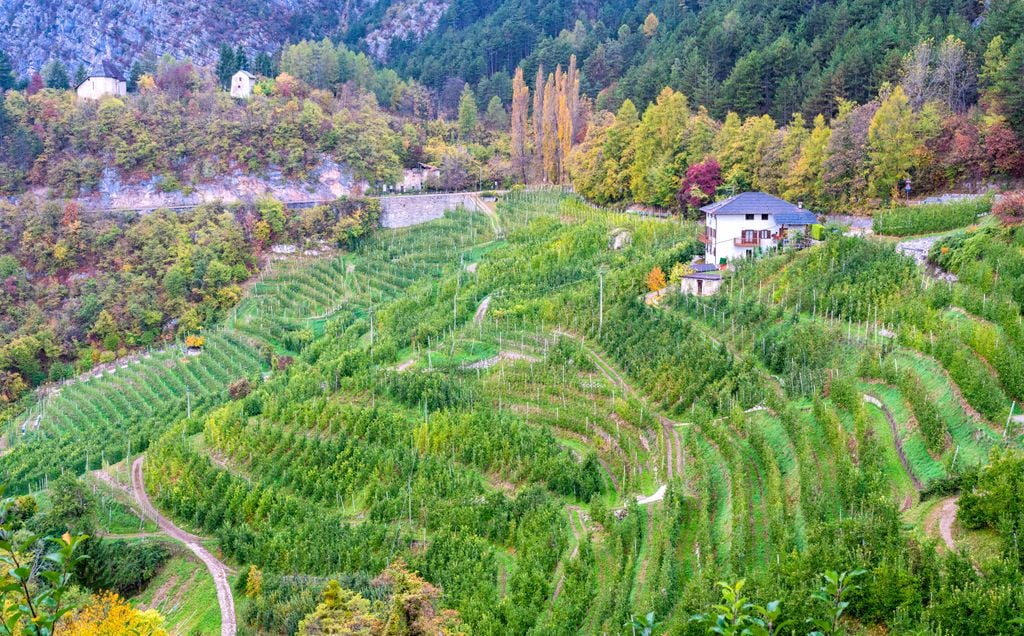Lago - Umgebung Auch die Umgebung ist perfekt zum Wandern und Genießen. Foto: Adobe Stock