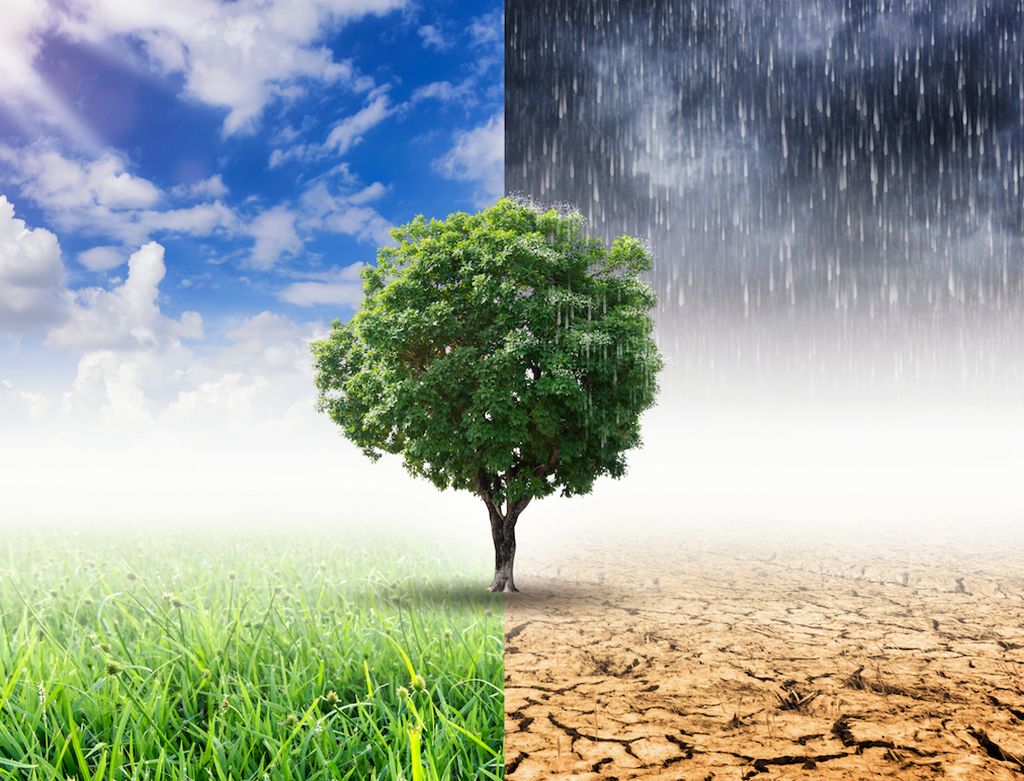 Das Wetter und der Klimawandel