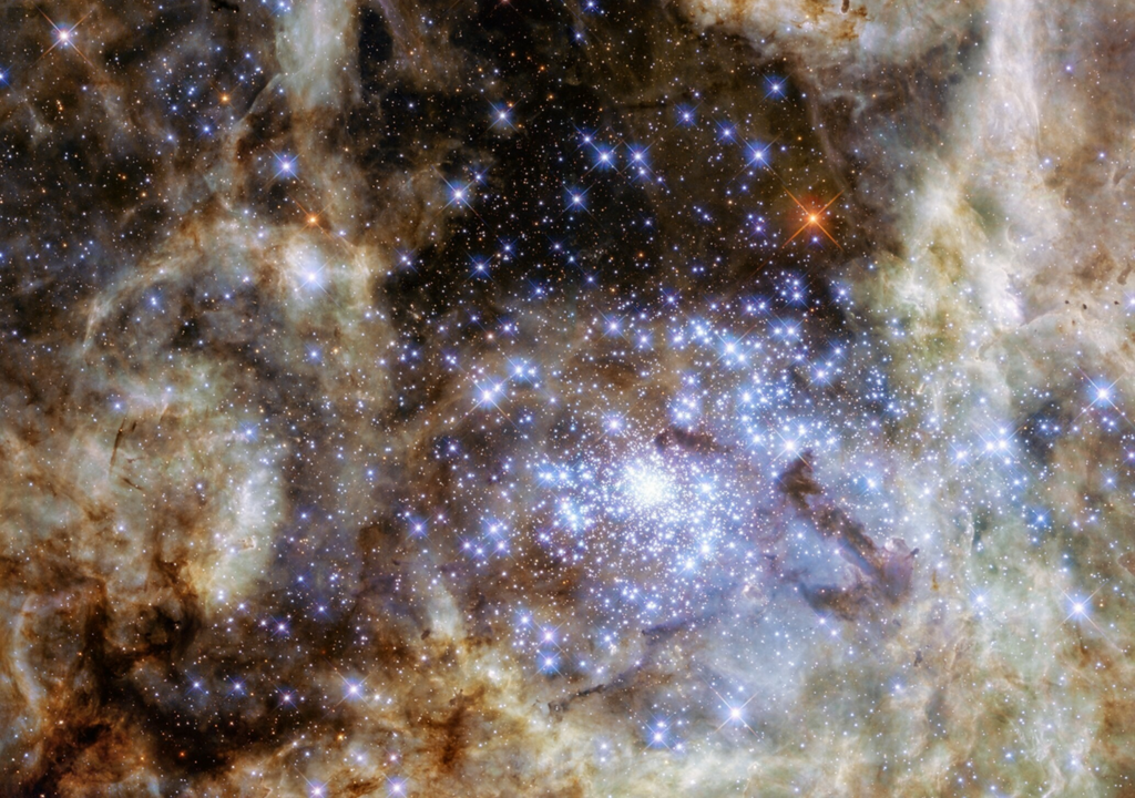 Cluster R136