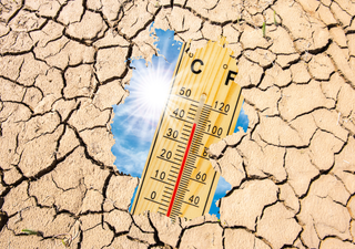 Zwischen Rekordhitze und Sturmflut: Was der ExtremWetterKongress 2025 in Hamburg den Deutschen ins Stammbuch schreibt