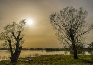 Zwischen Saharaluft, Schneegestöber und Jahrhunderthochwasser - So war der Frühling 2024 in Deutschland!