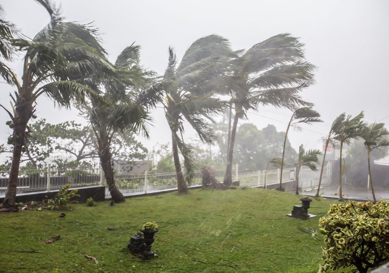 Hurricane gusts of up to 200 km / h in New Caledonia!