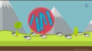 ¿Apesta el metano? En la Tierra, en Marte y más allá